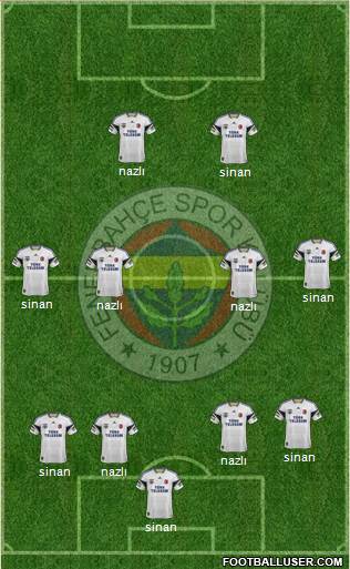 Fenerbahçe SK Formation 2014