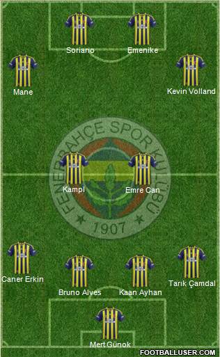 Fenerbahçe SK Formation 2014