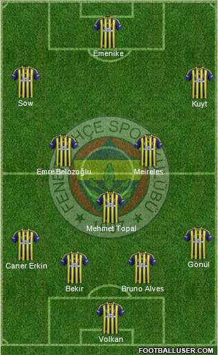Fenerbahçe SK Formation 2014