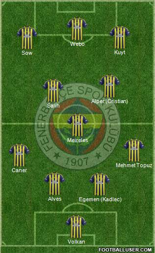 Fenerbahçe SK Formation 2014