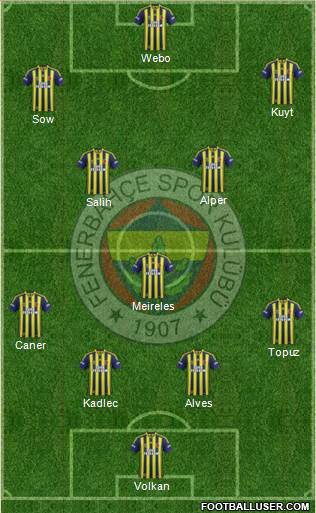 Fenerbahçe SK Formation 2014