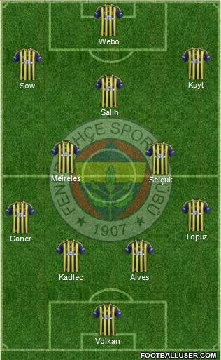 Fenerbahçe SK Formation 2014