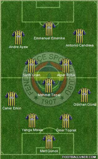 Fenerbahçe SK Formation 2014