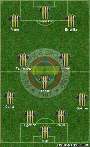 Fenerbahçe SK Formation 2014