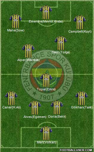 Fenerbahçe SK Formation 2014