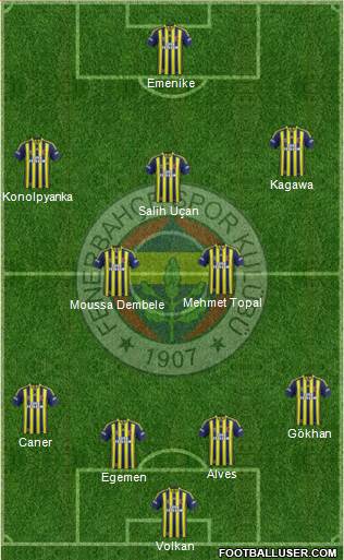 Fenerbahçe SK Formation 2014
