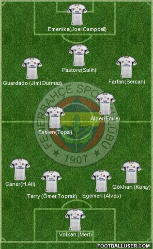 Fenerbahçe SK Formation 2014