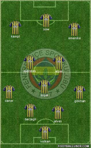 Fenerbahçe SK Formation 2014