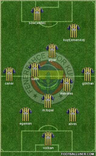 Fenerbahçe SK Formation 2014