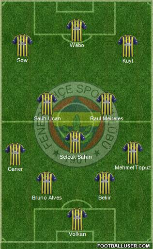Fenerbahçe SK Formation 2014
