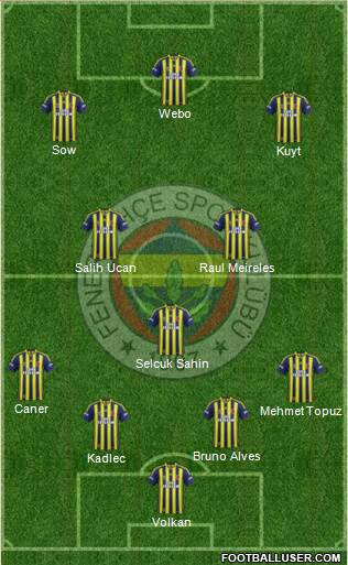 Fenerbahçe SK Formation 2014