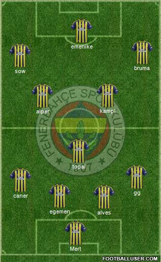 Fenerbahçe SK Formation 2014