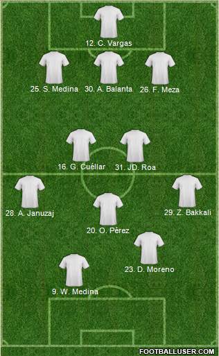Manchester City Formation 2014
