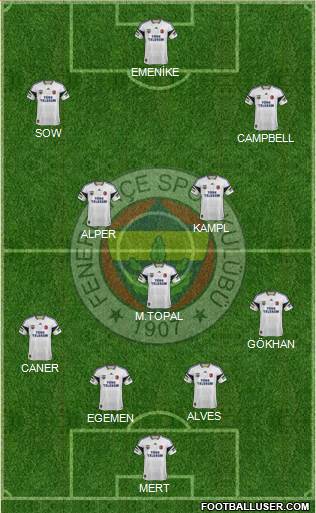 Fenerbahçe SK Formation 2014