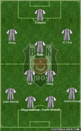 Besiktas JK Formation 2014