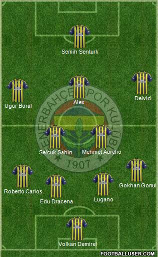 Fenerbahçe SK Formation 2014