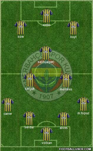Fenerbahçe SK Formation 2014