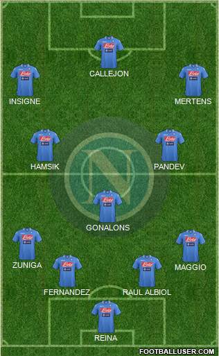Napoli Formation 2014