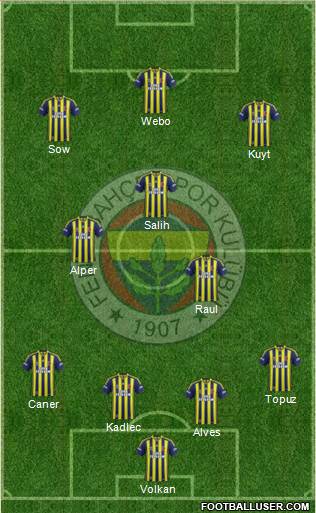 Fenerbahçe SK Formation 2014