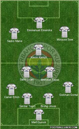 Fenerbahçe SK Formation 2014