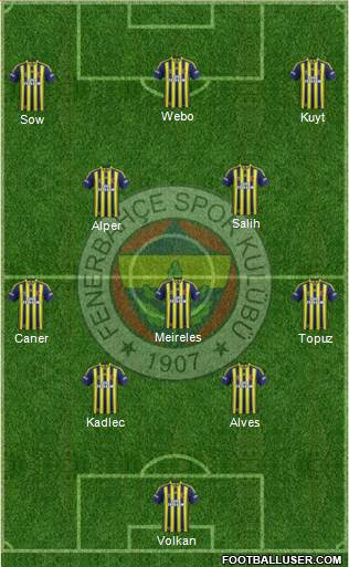 Fenerbahçe SK Formation 2014