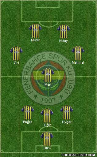 Fenerbahçe SK Formation 2014