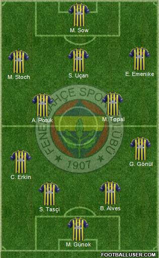 Fenerbahçe SK Formation 2014