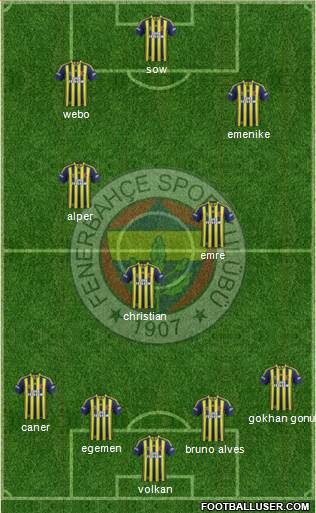 Fenerbahçe SK Formation 2014