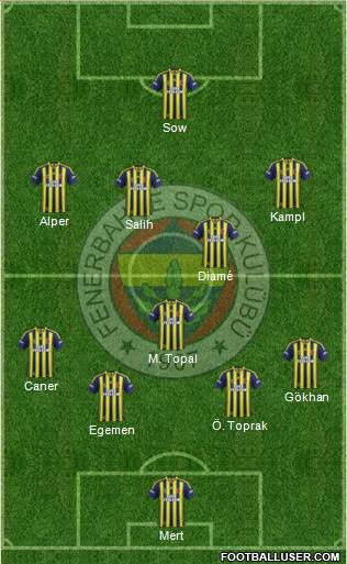 Fenerbahçe SK Formation 2014