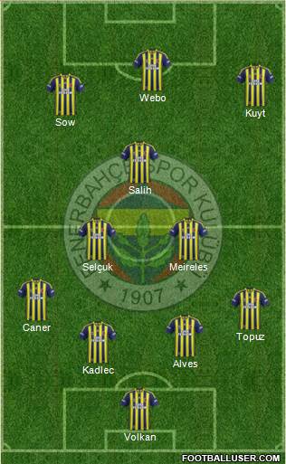 Fenerbahçe SK Formation 2014