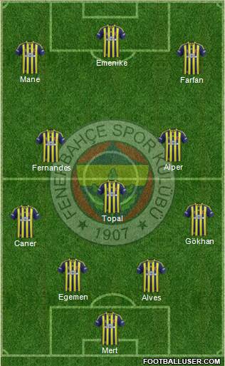 Fenerbahçe SK Formation 2014