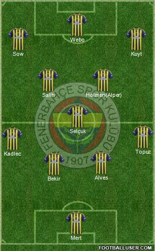 Fenerbahçe SK Formation 2014