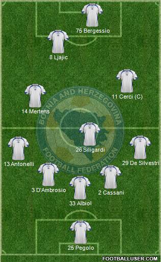 Bosnia and Herzegovina Formation 2014