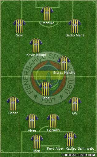 Fenerbahçe SK Formation 2014