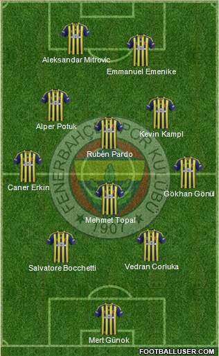 Fenerbahçe SK Formation 2014