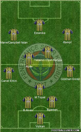 Fenerbahçe SK Formation 2014