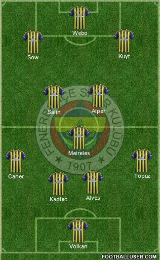 Fenerbahçe SK Formation 2014