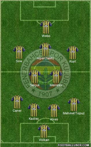 Fenerbahçe SK Formation 2014