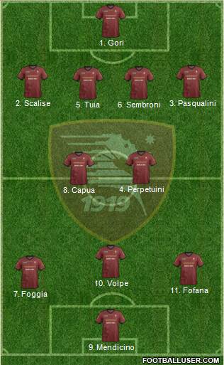 Salernitana Formation 2014