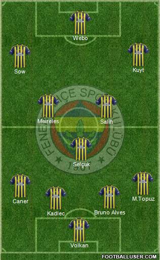 Fenerbahçe SK Formation 2014