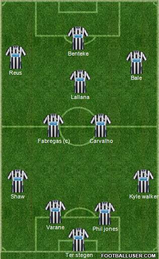 Newcastle United Formation 2014