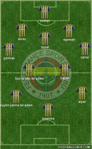 Fenerbahçe SK Formation 2014