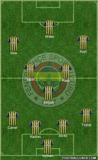 Fenerbahçe SK Formation 2014