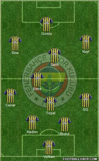 Fenerbahçe SK Formation 2014