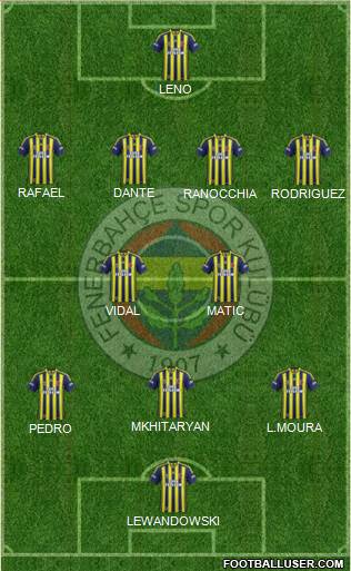 Fenerbahçe SK Formation 2014