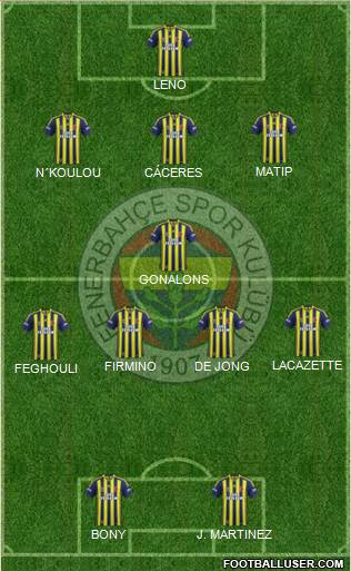 Fenerbahçe SK Formation 2014