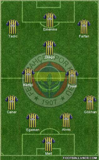 Fenerbahçe SK Formation 2014