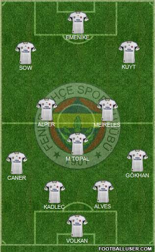 Fenerbahçe SK Formation 2014