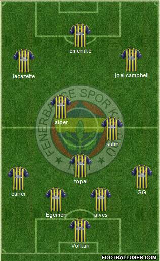 Fenerbahçe SK Formation 2014