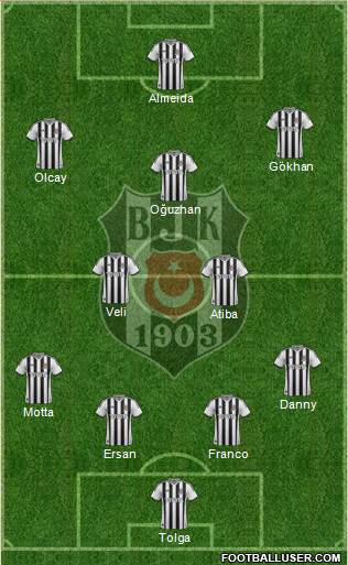 Besiktas JK Formation 2014